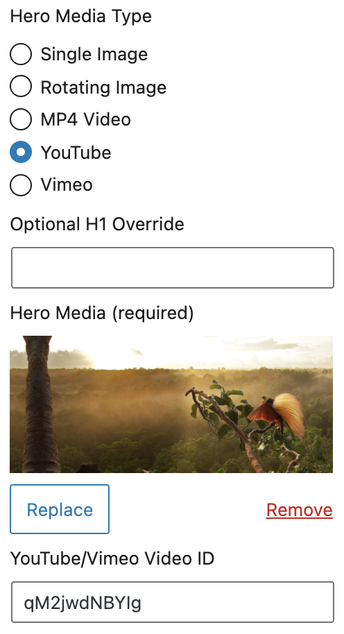 Hero option with youtube