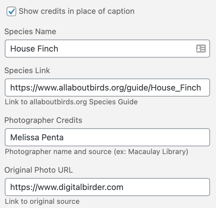 Photographer credits on the media page