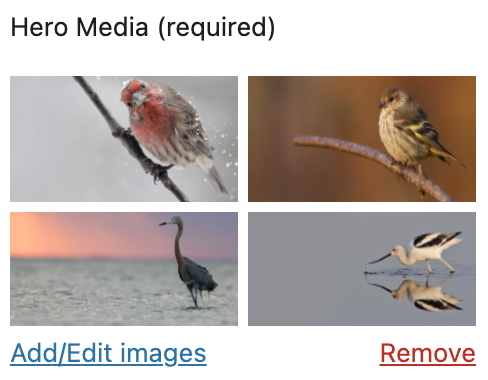 Four hero images selected for rotation