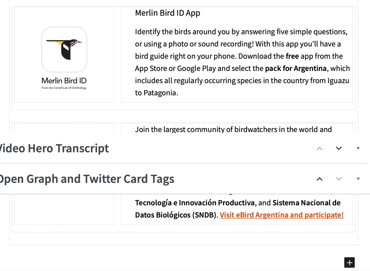 Custom fields overlap the editor