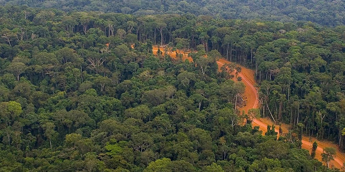 a rust colored river going through green trees