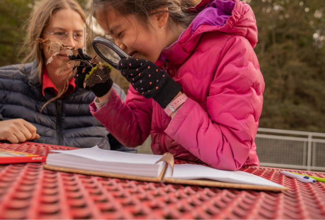 girl in pink jacket looking at grass roots through a magnifying glass