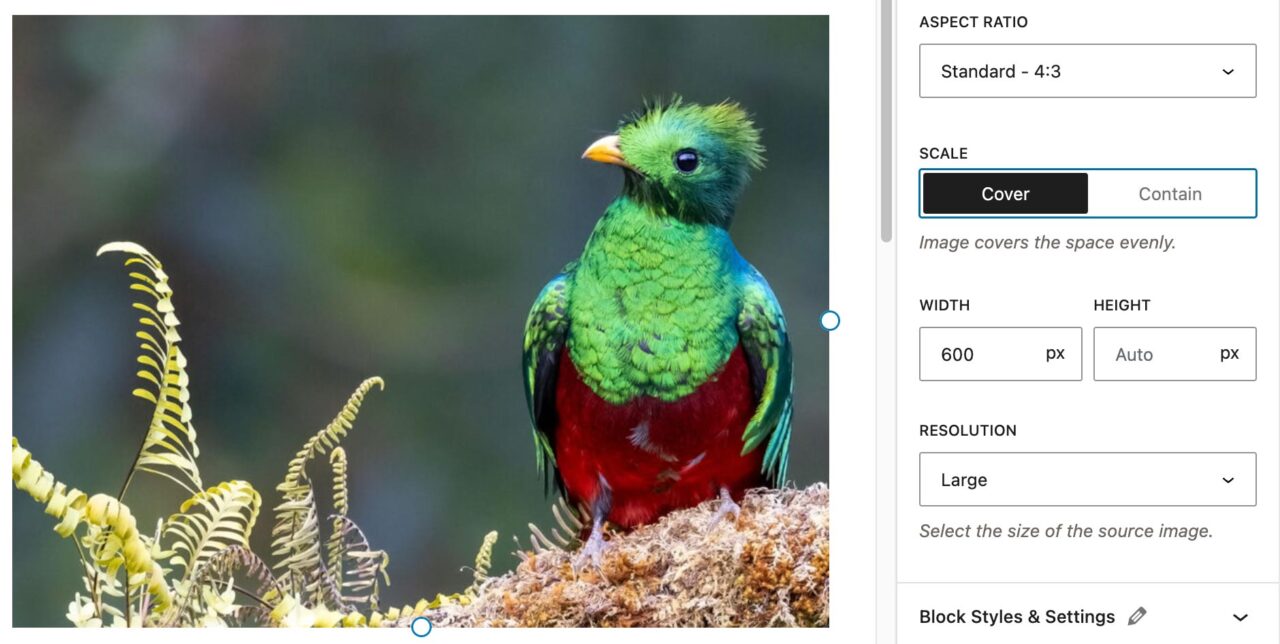 Image aspect ratio settings with a 4:3 ratio