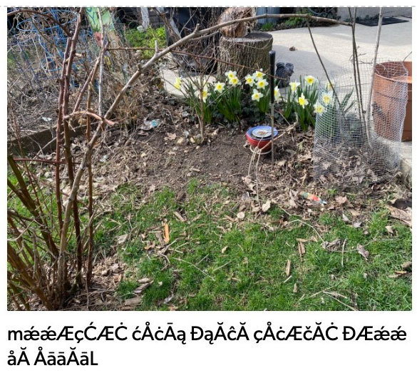 Screenshot of symbols showing instead of text