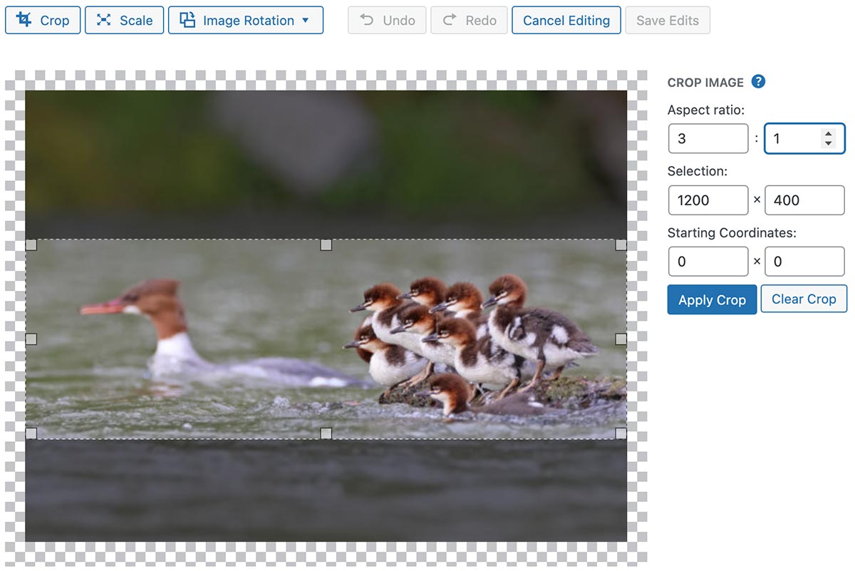 image editing screen in wordpress showing the crop feature